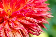 J5A3999-20260929