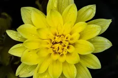 J5A4018-20260929