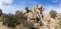 MG_4191-Pano