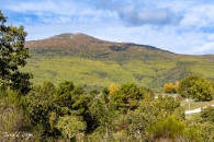 MG_5078