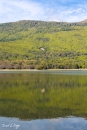 MG_5085