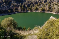 MG_8801