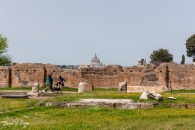 MG_7737