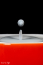 MG_0027-2