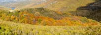 J5A2507-Pano-Editar