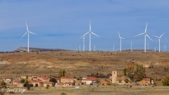 hayedo_tejera_negra-63
