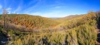J5A3073-Pano-2-Editar