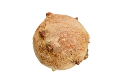 J5A5647-Editar