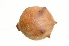 J5A5654