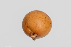J5A5655