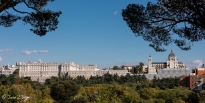 Catedral y Palacio Real