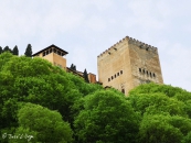 oznor