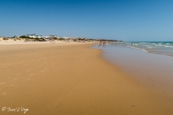 IMG_6989