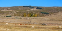 gredos-10_22197024145_o