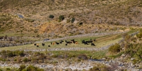 gredos-13_22008980350_o
