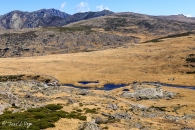 gredos-43_21574266214_o