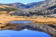 gredos-45_22170909536_o