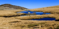 gredos-54_22170908566_o