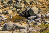 gredos-58_22008976320_o