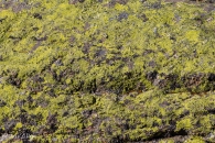gredos-59_21576010483_o