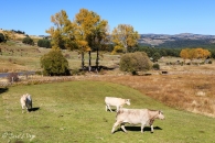 gredos-62_22184332062_o