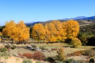 gredos-64_22207343681_o