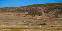 gredos-9_21574269424_o