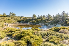Lagunas de Peñalara II