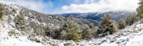 Panorámica