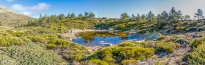 Group-5-_M5A9558__M5A9561-4-images_0000-Editar