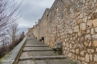 MG_2432