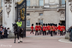 Cambio de Guardia, Palacio de Buckingham