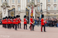 Cambio de Guardia, Palacio de Buckingham