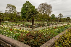 Palacio de Kensington