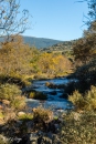 Río Lozoya