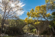 Puente Matafrailes