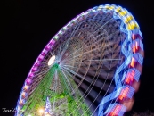 MG_7231-Editar