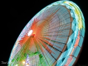 MG_7235-Editar