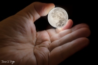 IMG_7607-Editar-Editar-Editar