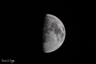 MG_2422
