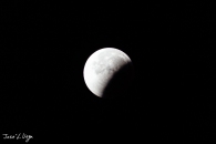 MG_2519