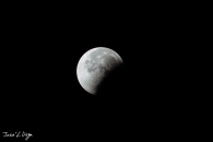 MG_2524