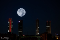 MG_2556