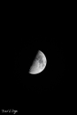 MG_5102