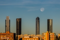 MG_5145