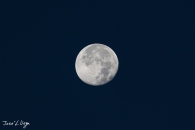 MG_5487-2