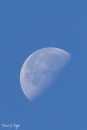 MG_5642