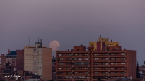 MG_5933