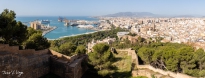 MG_6681-Pano