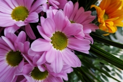 IMG_0070